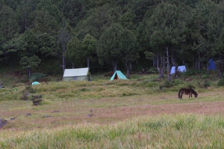 Druk Path Trek