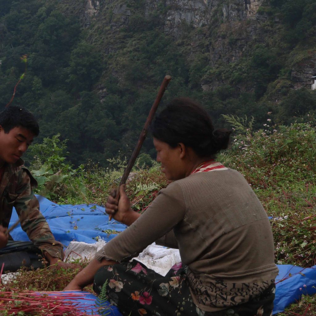 Rural Bhutan